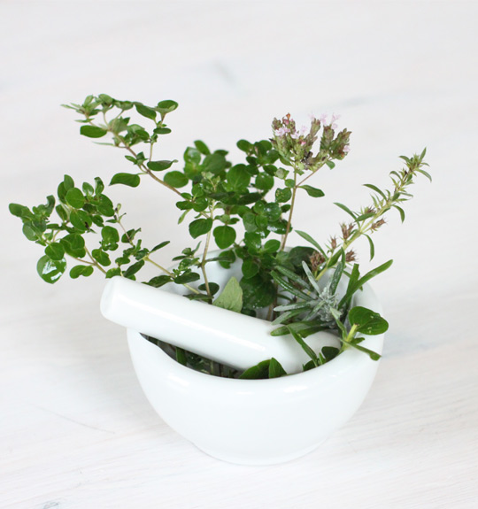 Organic Single herbs Organic Single herbs