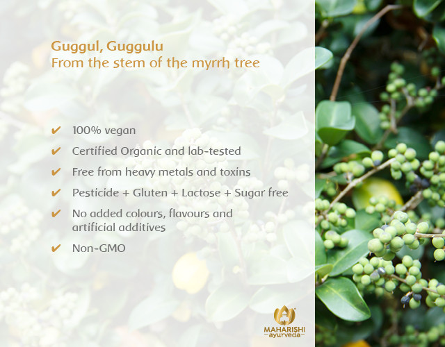 SUPER HERB Guggul / GUGGUL Maharishi Ayurveda