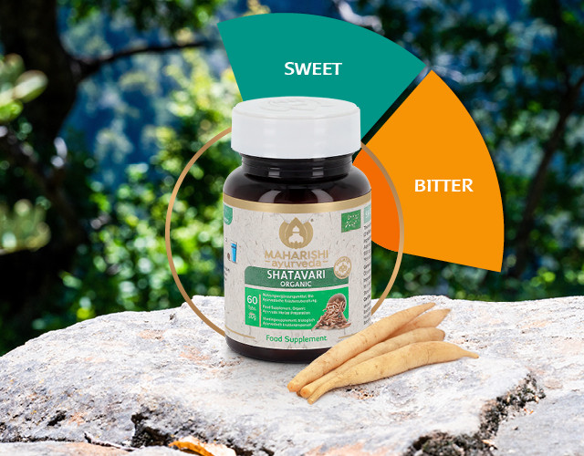 Shatavari | Maharishi Ayurveda