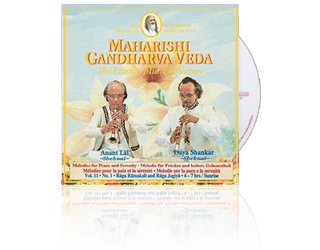 Anant Lal / Daya Shankar (Shehnai) Peace & Serenity (4-7 hrs), CD Anant Lal / Daya Shankar (Shehnai) Peace & Serenity (4-7 hrs), CD