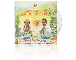 Anant Lal / Daya Shankar (Shehnai) Success (10-13 hrs), CD Anant Lal / Daya Shankar (Shehnai) Success (10-13 hrs), CD
