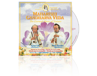 Anant Lal / Daya Shankar (Shehnai) Tranquillity (22-1 hrs), CD Anant Lal / Daya Shankar (Shehnai) Tranquillity (22-1 hrs), CD