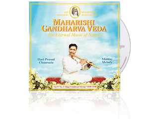 Hari Prasad Chaurasia (Bamboo Flute) Energy (10-13 hrs), CD Hari Prasad Chaurasia (Bamboo Flute) Energy (10-13 hrs), CD