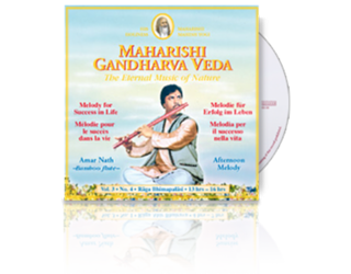 Amar Nath (Bamboo Flute) Success in Life (13-16h), CD Amar Nath (Bamboo Flute) Success in Life (13-16h), CD