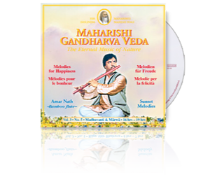 Amar Nath (Bamboo Flute) Happiness (16-19 hrs), CD Amar Nath (Bamboo Flute) Happiness (16-19 hrs), CD