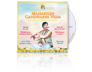 Amar Nath (Bamboo Flute) Joy (7-10 hrs), CD Amar Nath (Bamboo Flute) Joy (7-10 hrs), CD