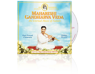 Hari Prasad Chaurasia (Bamboo Flute) Energy (10-13 hrs), CD