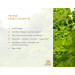 Moringa - Quality