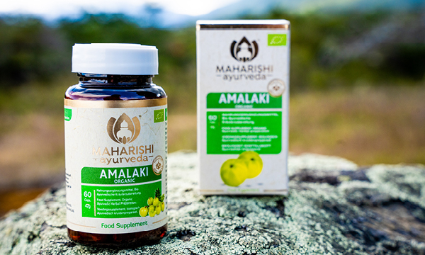 Amalaki package Amalaki package