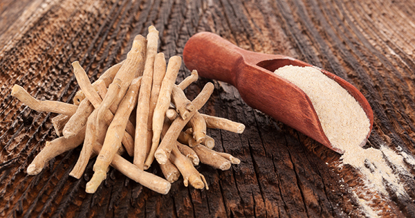 Ashwagandha Rhizom Ashwagandha Rhizom