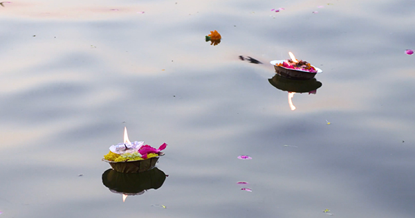 Brahmi lights in water