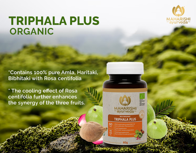 Information - Triphala Plus