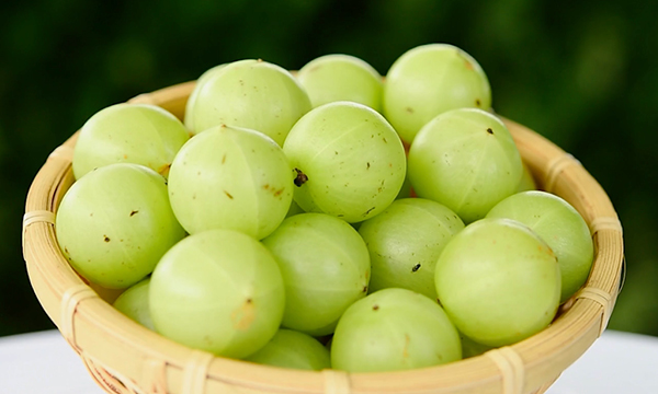 The amla berries