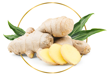 Ginger Ginger